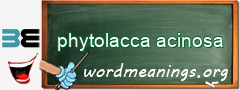 WordMeaning blackboard for phytolacca acinosa